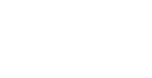Ljudis